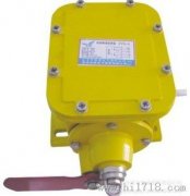 ZLK-II防皮帶撕裂檢測(cè)器，撕裂開關(guān)生產(chǎn)撕裂開關(guān)