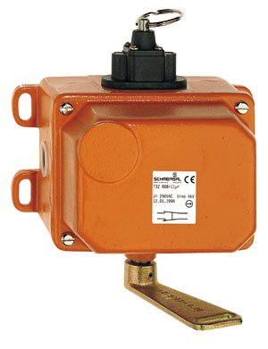 BX5800B雙向拉繩開關手動復位拉繩開關、BX5800B雙向拉繩開關生產(chǎn)